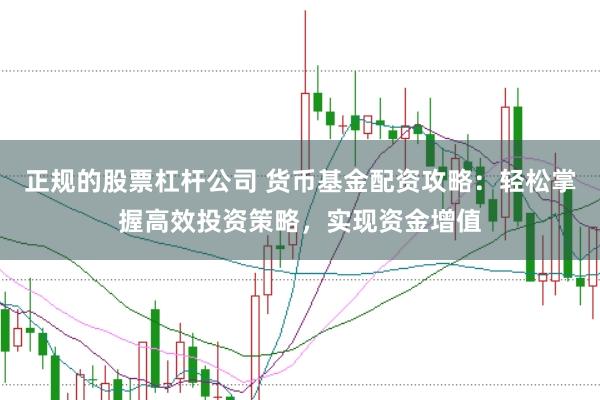 正规的股票杠杆公司 货币基金配资攻略：轻松掌握高效投资策略，实现资金增值
