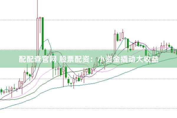 配配查官网 股票配资：小资金撬动大收益