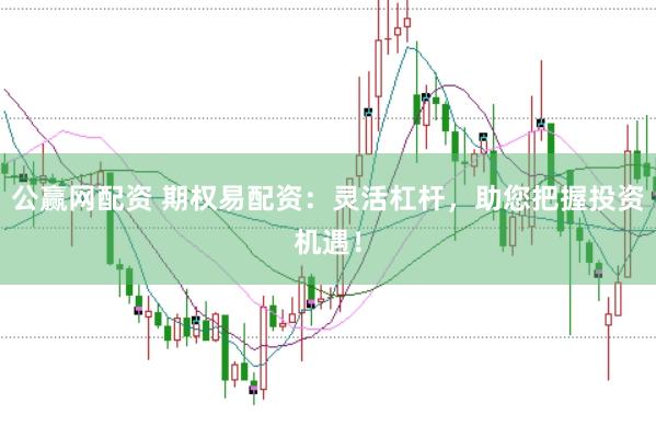 公赢网配资 期权易配资：灵活杠杆，助您把握投资机遇！