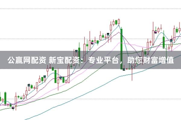 公赢网配资 新宝配资：专业平台，助您财富增值
