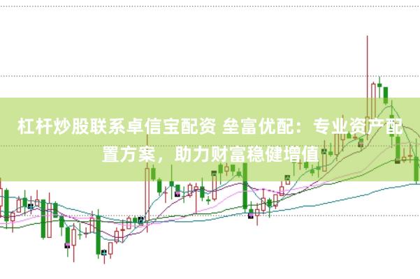 杠杆炒股联系卓信宝配资 垒富优配：专业资产配置方案，助力财富稳健增值