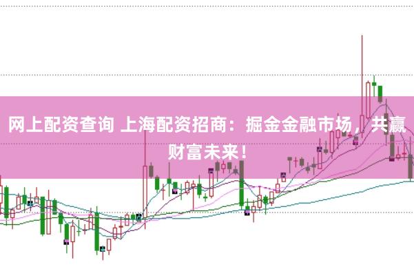 网上配资查询 上海配资招商：掘金金融市场，共赢财富未来！