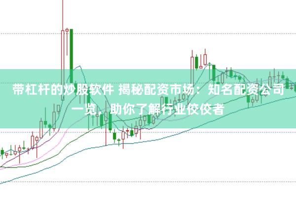 带杠杆的炒股软件 揭秘配资市场：知名配资公司一览，助你了解行业佼佼者