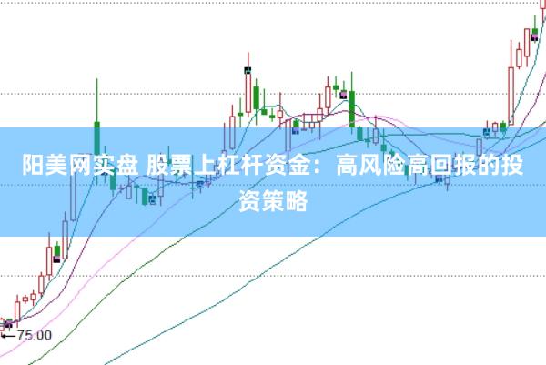 阳美网实盘 股票上杠杆资金：高风险高回报的投资策略