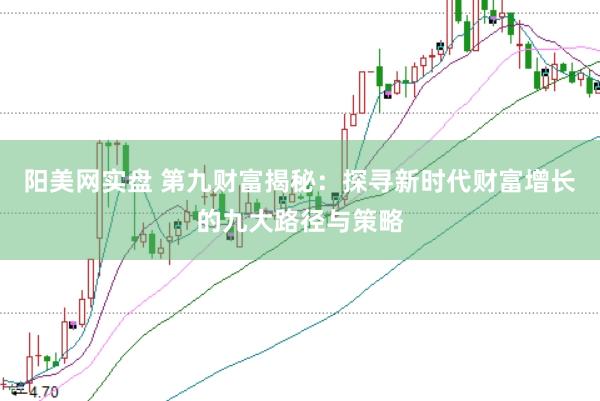 阳美网实盘 第九财富揭秘：探寻新时代财富增长的九大路径与策略