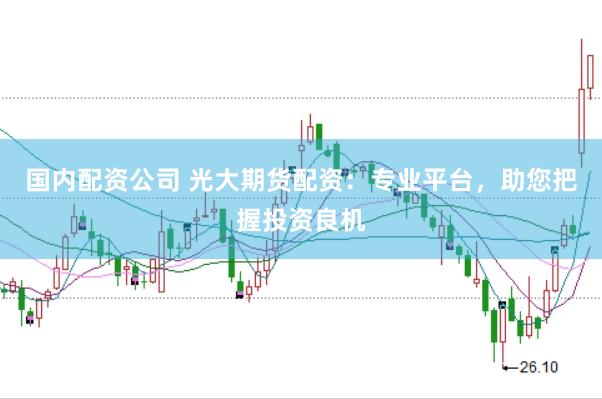 国内配资公司 光大期货配资：专业平台，助您把握投资良机