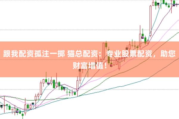 跟我配资孤注一掷 猫总配资：专业股票配资，助您财富增值！
