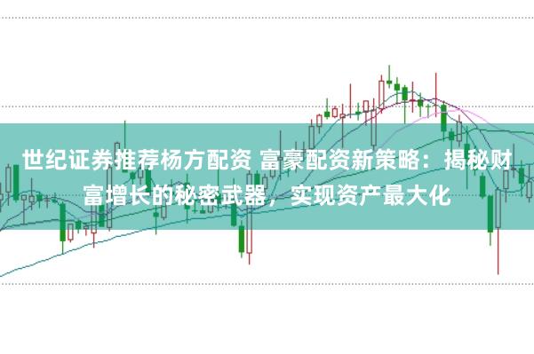 世纪证券推荐杨方配资 富豪配资新策略：揭秘财富增长的秘密武器，实现资产最大化