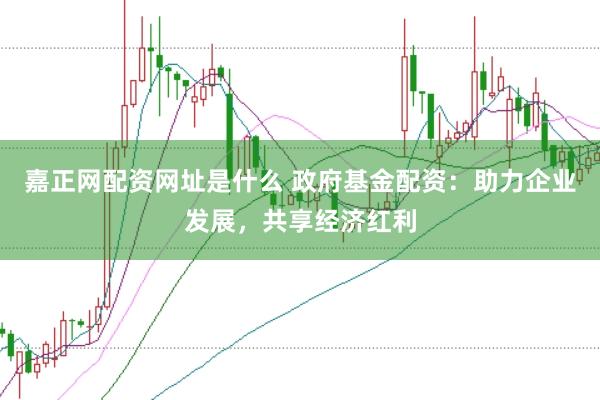 嘉正网配资网址是什么 政府基金配资：助力企业发展，共享经济红利