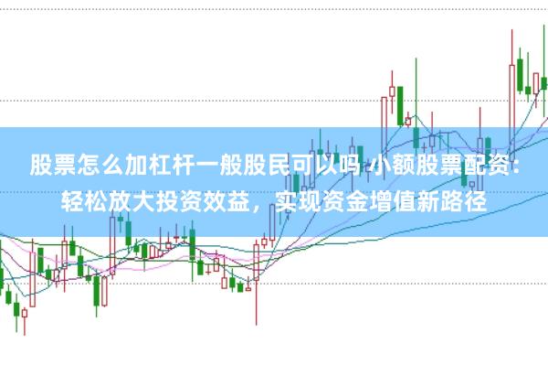 股票怎么加杠杆一般股民可以吗 小额股票配资：轻松放大投资效益，实现资金增值新路径