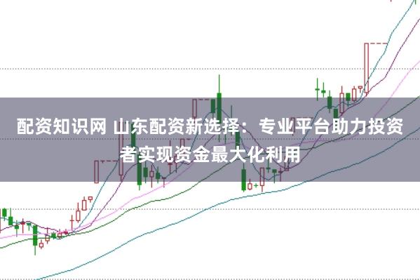 配资知识网 山东配资新选择：专业平台助力投资者实现资金最大化利用