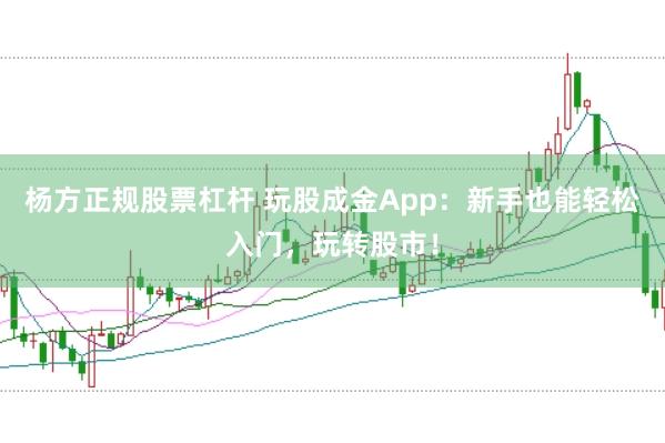 杨方正规股票杠杆 玩股成金App：新手也能轻松入门，玩转股市！