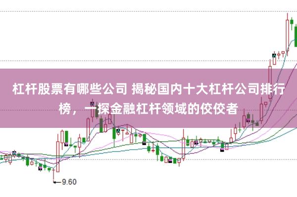杠杆股票有哪些公司 揭秘国内十大杠杆公司排行榜，一探金融杠杆领域的佼佼者