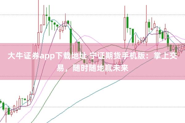 大牛证券app下载地址 宁证期货手机版：掌上交易，随时随地赢未来