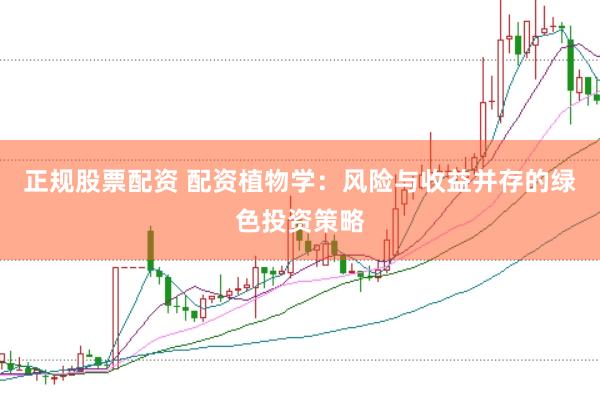 正规股票配资 配资植物学：风险与收益并存的绿色投资策略