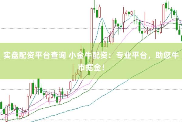 实盘配资平台查询 小金牛配资：专业平台，助您牛市掘金！
