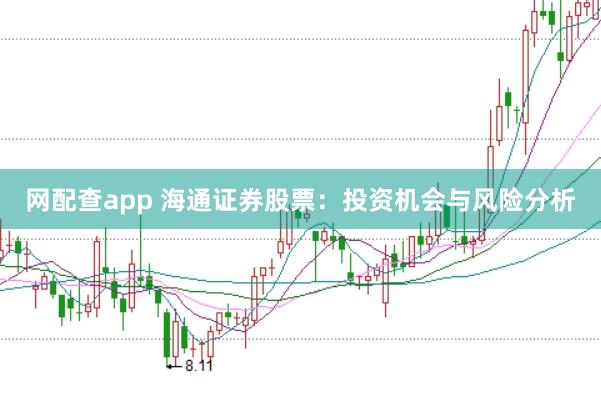 网配查app 海通证券股票：投资机会与风险分析