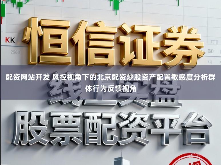 配资网站开发 风控视角下的北京配资炒股资产配置敏感度分析群体行为反馈视角
