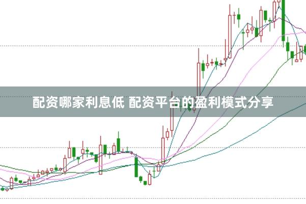 配资哪家利息低 配资平台的盈利模式分享