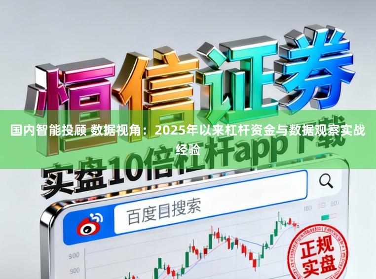 国内智能投顾 数据视角：2025年以来杠杆资金与数据观察实战经验